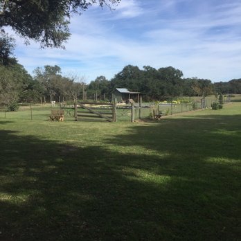 Wimberley Valley Winery - Garden area - Wine Tasting Room Near Me - Driftwood, Texas Wimberley Valley Winery - Garden area - Wine Tasting Room Near Me - Driftwood, Texas