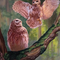 Foxfire Studio - Art Gallery