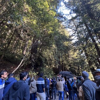 Skunk Train - Tours Near Me - Fort Bragg, California Skunk Train - Tours Near Me - Fort Bragg, California