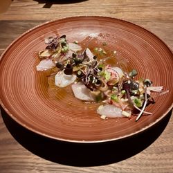 Guesthouse - Kampachi Crudo