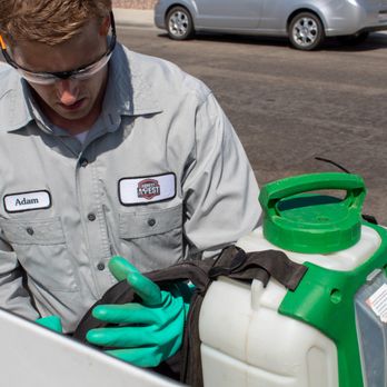 Arrest A Pest - Coachella Valley's local pest control pros! Arrest A Pest uses family-safe treatments to stop bugs, spiders & rodents fast. - Pest Control Near Me - Indian Wells, California Arrest A Pest - Coachella Valley's local pest control pros! Arrest A Pest uses family-safe treatments to stop bugs, spiders & rodents fast. - Pest Control Near Me - Indian Wells, California