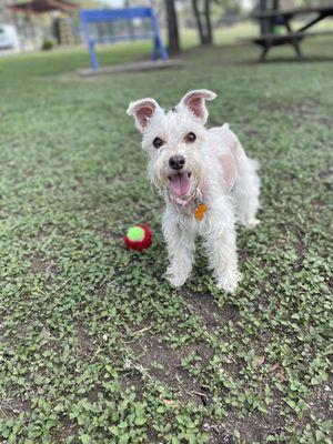 Fair Oaks Ranch Veterinary Hospital