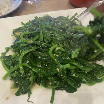 Bamboo House Austin - Chinese Near Me - Austin, Texas Bamboo House Austin - Chinese Near Me - Austin, Texas