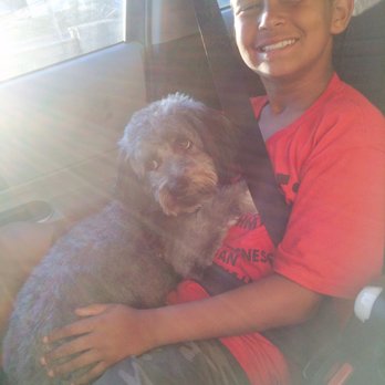 Renee's Dog Spa - Pet Groomers Near Me - Bozeman, Montana