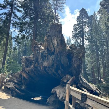 Kings Canyon National Park - Fallen Monarch - Parks Near Me - Three Rivers, California Kings Canyon National Park - Fallen Monarch - Parks Near Me - Three Rivers, California