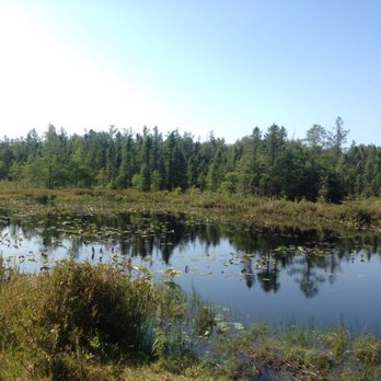 Sifton Bog Natural Area - Parks Near Me - London, Ontario Sifton Bog Natural Area - Parks Near Me - London, Ontario