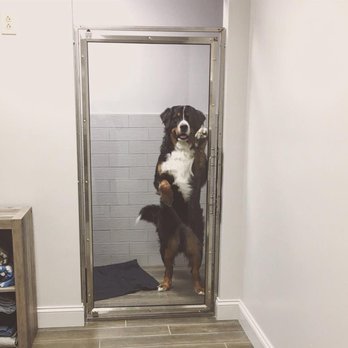 First Choice Veterinary Care - Large runs for the comfort of our largest patients! - Veterinarians Near Me - Lunenburg, Massachusetts First Choice Veterinary Care - Large runs for the comfort of our largest patients! - Veterinarians Near Me - Lunenburg, Massachusetts