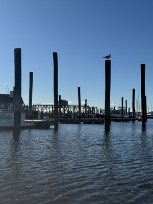 Adventure Mystic Kayak/SUP/Bike Rental & Retail Shop by null