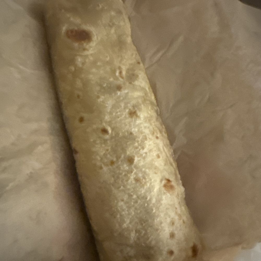 Fish Burrito Fish Burrito