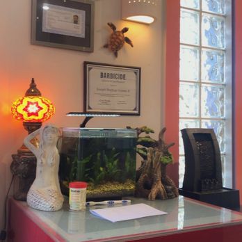 Cosmotique - Beta Fish Tank - Hair Salons Near Me - Charleston, South Carolina Cosmotique - Beta Fish Tank - Hair Salons Near Me - Charleston, South Carolina