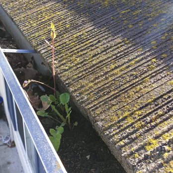Whitefin Solar Cleaning - Before - Solar Panel Cleaning Near Me