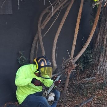 Cedar Stone Landscaping - Tree removal prep - Landscaping Near Me Cedar Stone Landscaping - Tree removal prep - Landscaping Near Me