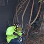 Cedar Stone Landscaping