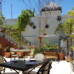 Maria Bonita - Back garden.