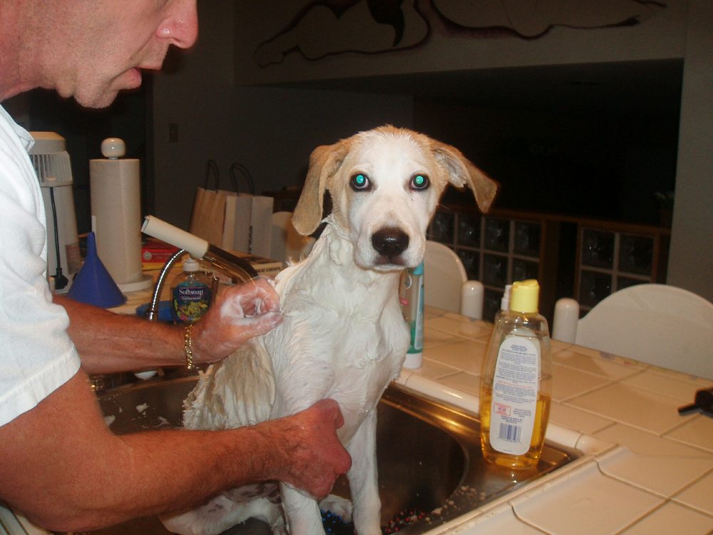 SUMMIT PRIMARY CARE Updated September 2024 75 Printers Pkwy