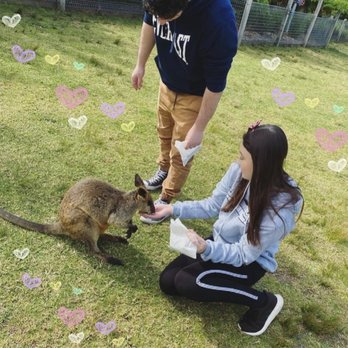 Symbio Wildlife Park - Zoos Near Me - Helensburgh, NSW