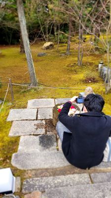 Shōrin-ji Temple by null