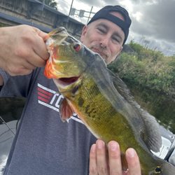 BASS Online Fishing - Hold them out so they look bigger!