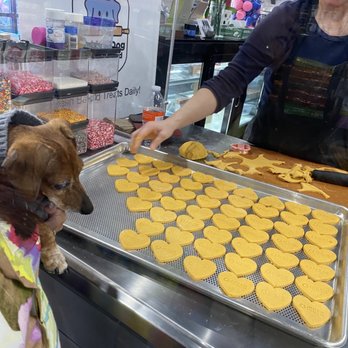Barking Dog Bakery & Feed - Tempting, heart shape, valentine cookies for my pooch - Pet Stores Near Me - Atlanta, Georgia Barking Dog Bakery & Feed - Tempting, heart shape, valentine cookies for my pooch - Pet Stores Near Me - Atlanta, Georgia