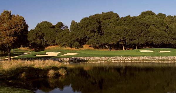 Peacock Gap Golf Club by null