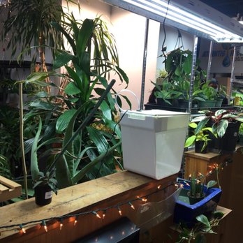 Atlantis Hydroponics - Wow! - Hydroponics Near Me - Atlanta, Georgia