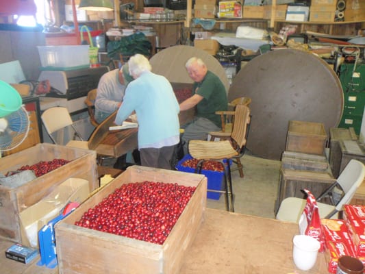 Cranberry Bog Tours by null