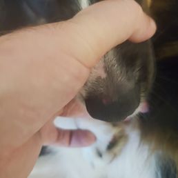 Cut on nose Cut on nose