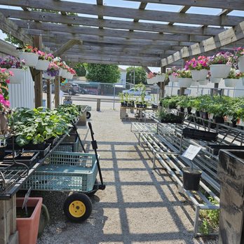 Community Seed & Feed - Nurseries & Gardening Near Me - East Alton, Illinois Community Seed & Feed - Nurseries & Gardening Near Me - East Alton, Illinois