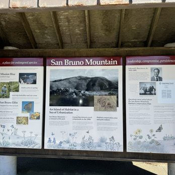 San Bruno Mountain State & County Park - Parks Near Me - Brisbane, California San Bruno Mountain State & County Park - Parks Near Me - Brisbane, California