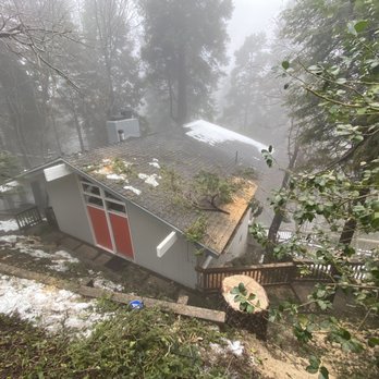 HLI Tree Experts - Removal of 70' fir and 50' cedar, one of 6 trees removed. - Tree Services Near Me HLI Tree Experts - Removal of 70' fir and 50' cedar, one of 6 trees removed. - Tree Services Near Me