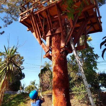 Arbory Masters - Tree Services Near Me - Warsaw, North Carolina Arbory Masters - Tree Services Near Me - Warsaw, North Carolina