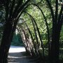 Photo of Parco Faunistico La Torbiera
