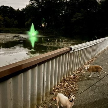 Runnemede Dog Park - "Are we there yet?!!" Live living so close!  (9/24/24) - Dog Parks Near Me - Runnemede, New Jersey