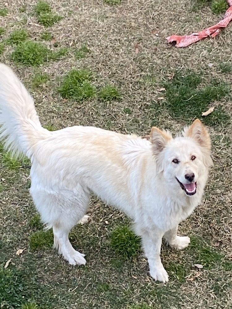 WALKER VETERINARY HOSPITAL 42 Photos & 101 Reviews 7600 W Ln