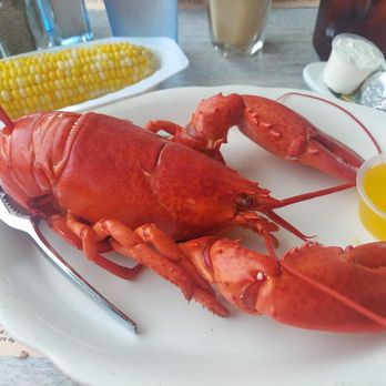 Fox's Lobster House - 1 1/2 Pound Lobster, Corn on the Cob & Baked Potato - Seafood Near Me - York, Maine Fox's Lobster House - 1 1/2 Pound Lobster, Corn on the Cob & Baked Potato - Seafood Near Me - York, Maine