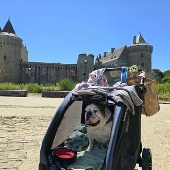 Château de Suscinio - Castles Near Me