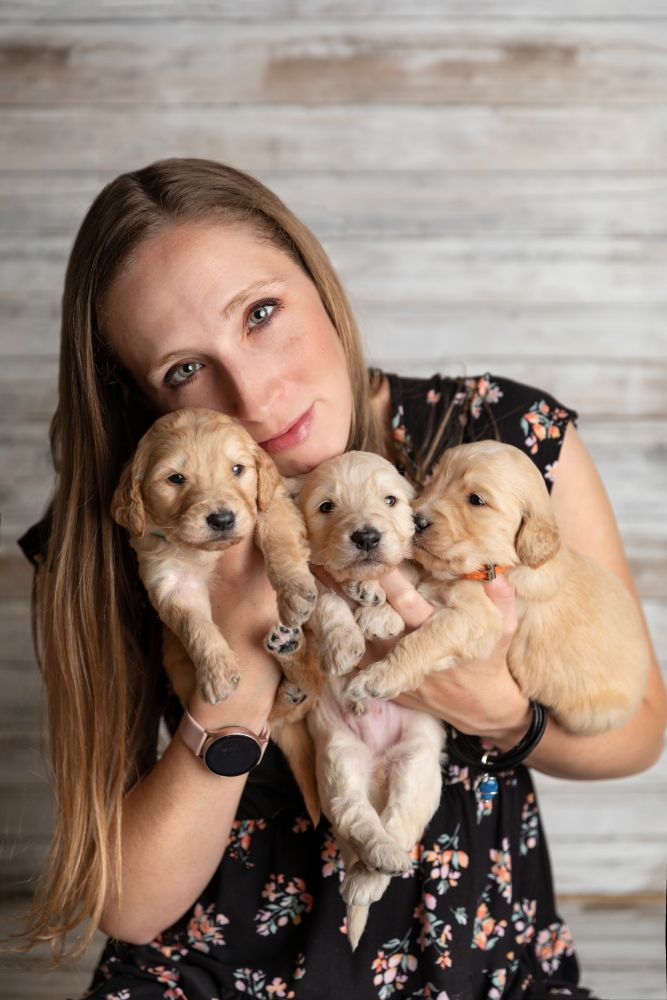 RUNES NOTARY Request a Quote Colorado Springs, Colorado Notaries