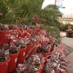 Virginia Nursery - Gorgeous aisles here.