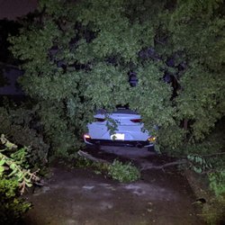 Manuel's Tree & Garden - Tree service. Landscaping. Arborist. Tornado.