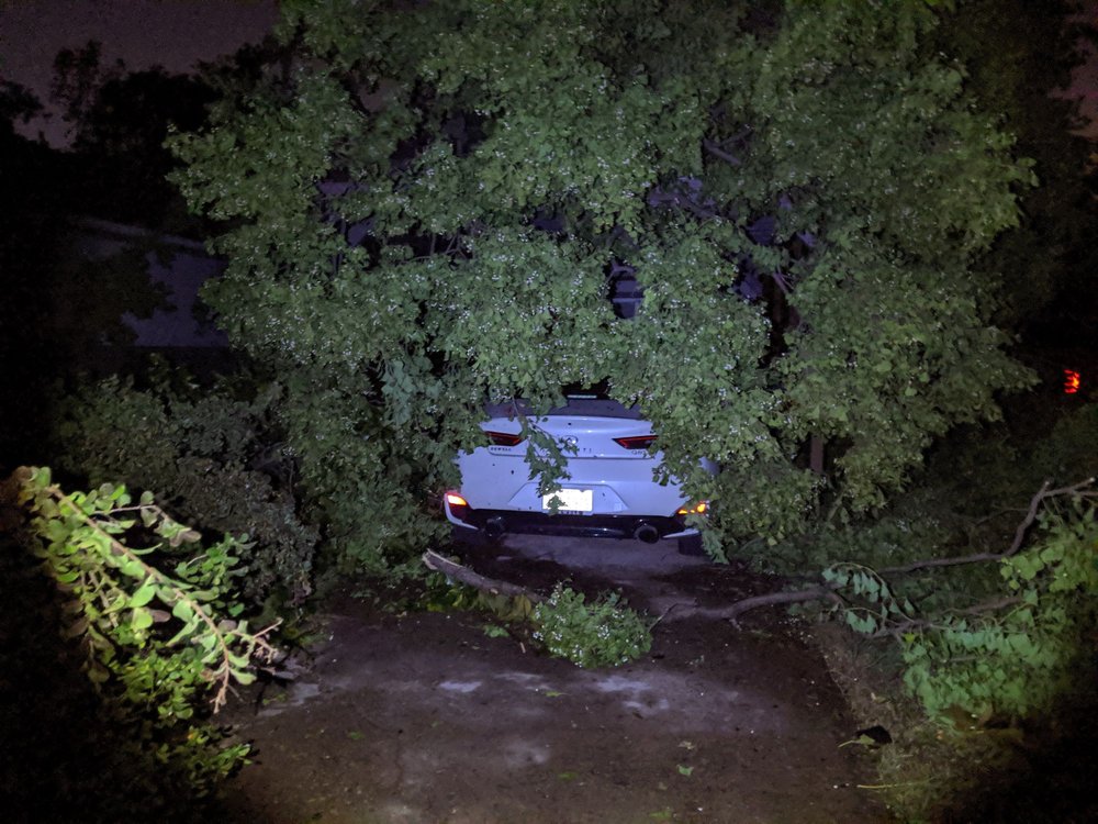 Manuel's Tree & Garden - tree service in Dallas, TX