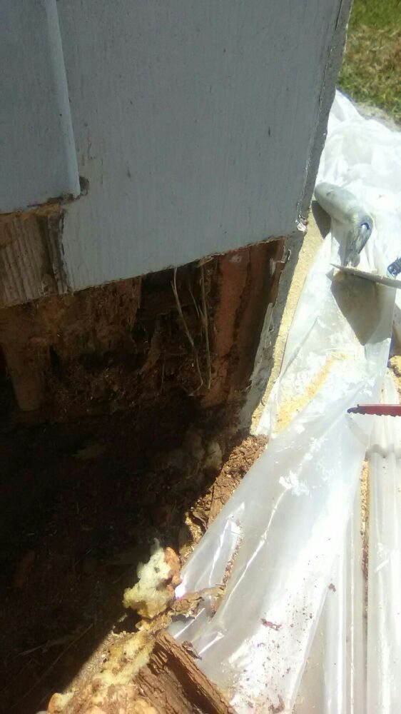 Slide of Supreme 1 Restorations