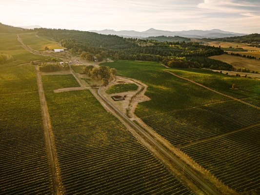 Benton-Lane Winery by null