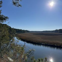 Palmetto Trail