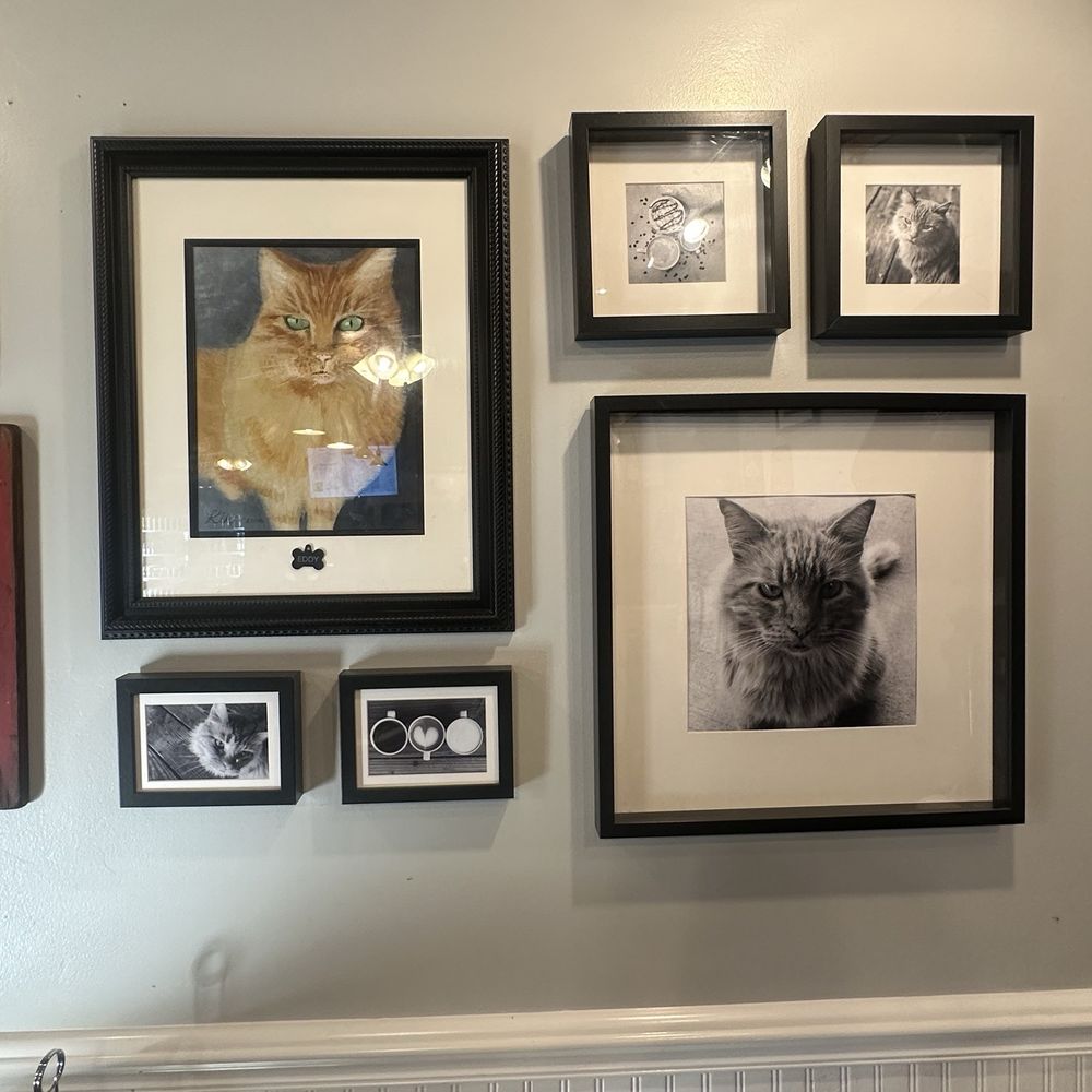 Steady Eddy's Coffee House - Coffee & Tea Near Me - Winters, California