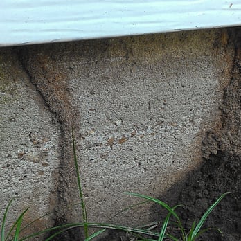 Blue Star Pest Control - Termite tunnel - Pest Control Near Me - Slidell, Louisiana Blue Star Pest Control - Termite tunnel - Pest Control Near Me - Slidell, Louisiana