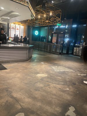 Shake Shack Canal Place by null