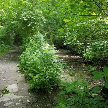 Kane Woods Nature Area - Parks Near Me - Pittsburgh, Pennsylvania