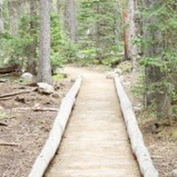Vitality Natural Medicine