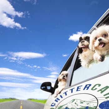 Critter Car - Pet Sitting Near Me - Portland, Oregon Critter Car - Pet Sitting Near Me - Portland, Oregon