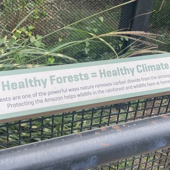 Dallas Zoo - Lots of educational resources all about - Zoos Near Me - Dallas, Texas Dallas Zoo - Lots of educational resources all about - Zoos Near Me - Dallas, Texas